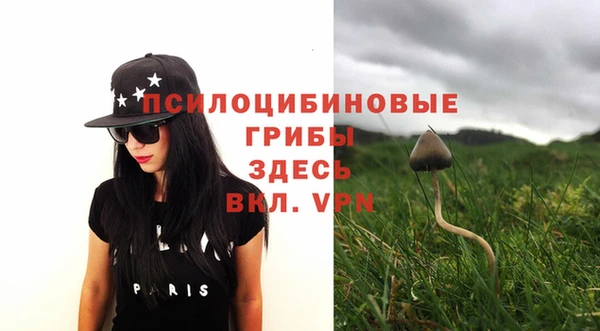 ПСИЛОЦИБИНОВЫЕ ГРИБЫ Михайлов