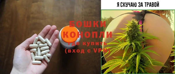 ПСИЛОЦИБИНОВЫЕ ГРИБЫ Михайлов