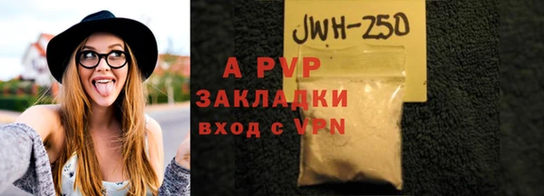 ПСИЛОЦИБИНОВЫЕ ГРИБЫ Михайлов