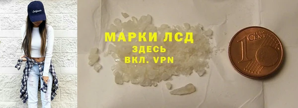 ПСИЛОЦИБИНОВЫЕ ГРИБЫ Михайлов