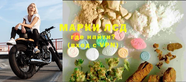 ПСИЛОЦИБИНОВЫЕ ГРИБЫ Михайлов
