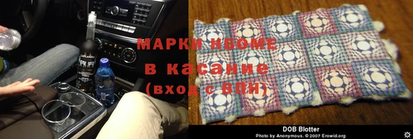 ПСИЛОЦИБИНОВЫЕ ГРИБЫ Михайлов