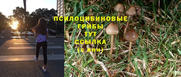 ПСИЛОЦИБИНОВЫЕ ГРИБЫ Михайлов