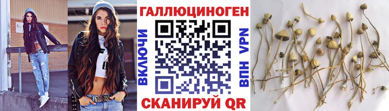 маркетплейс официальный сайт Нюрба Псилоцибиновые грибы Psilocybine cubensis